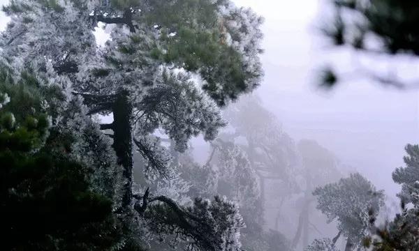 商场购物狂欢