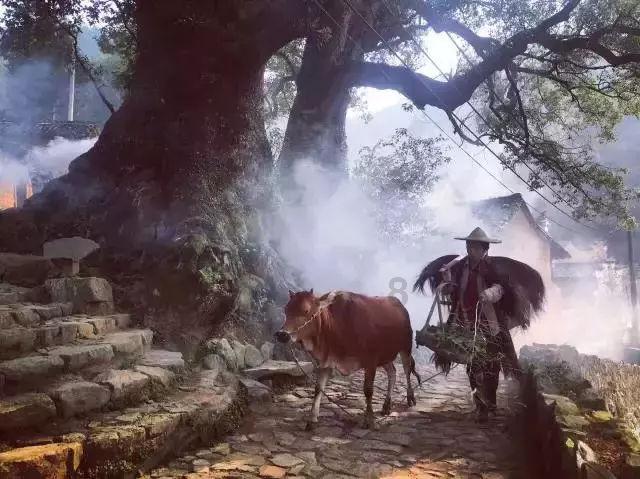 按点连线