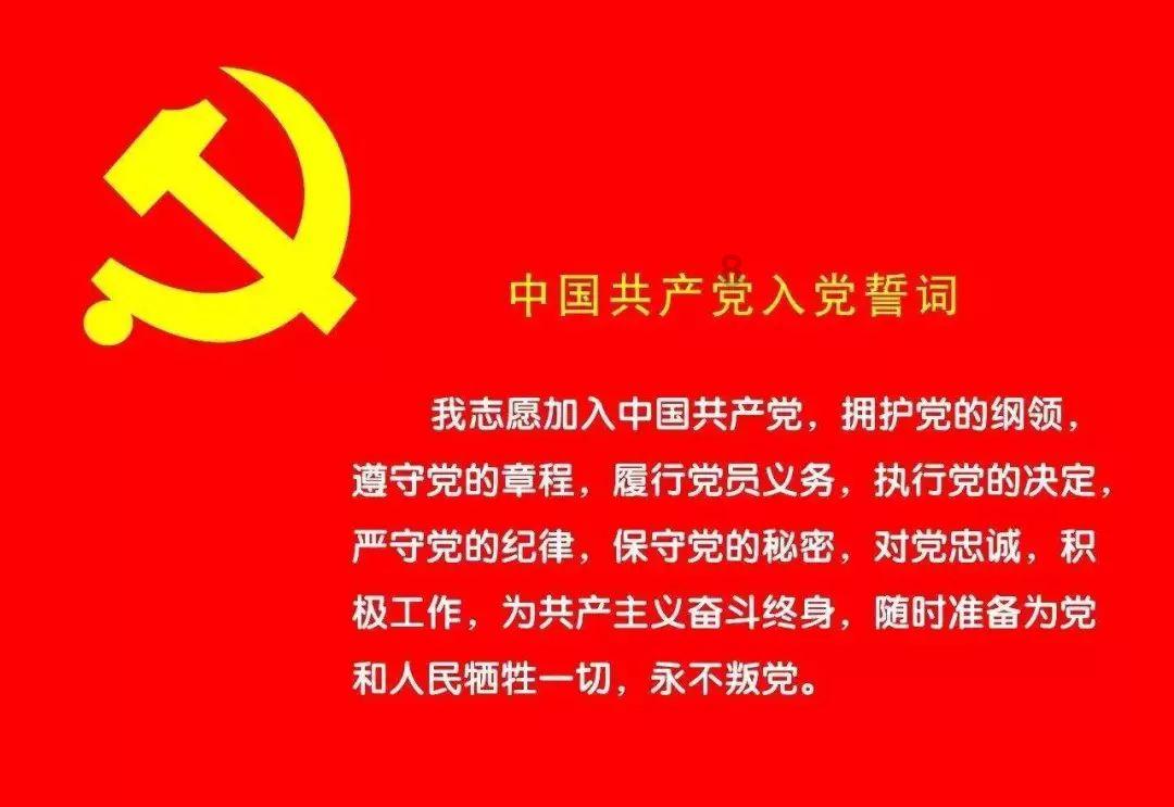 逃离野鸡森林